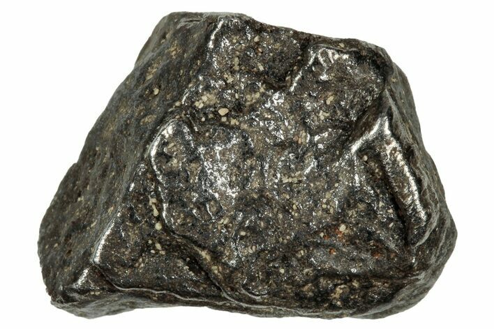 Gibeon Iron Meteorite ( g) - Namibia #336075